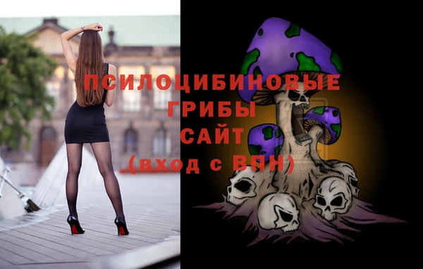прущий лед Ладушкин