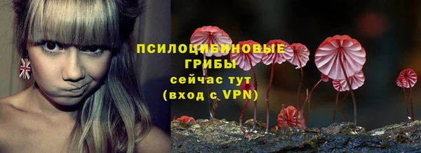 дживик Лагань